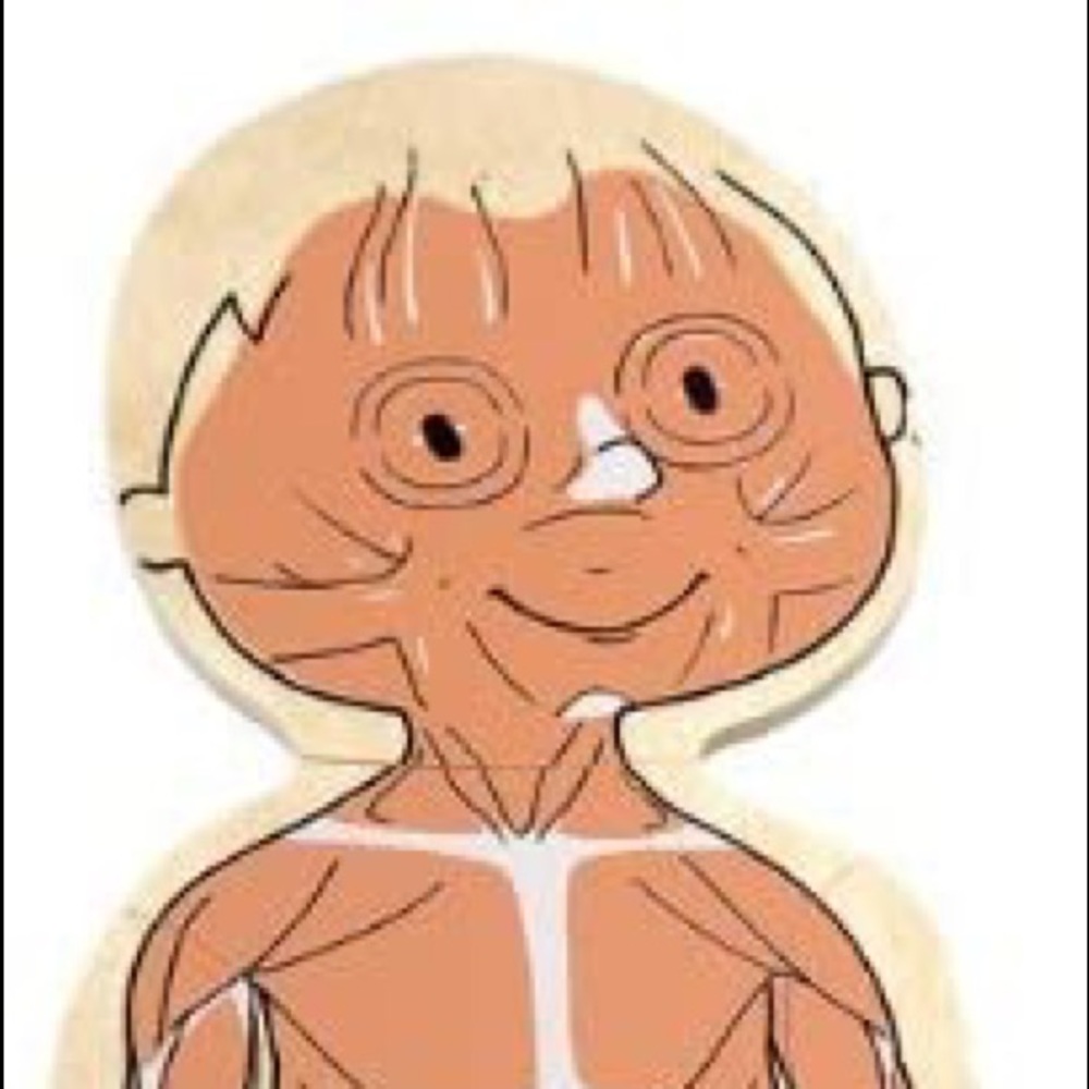 New Hape by Beleduc 5-Layer wooden Body Puzzle - Picture 9 of 11